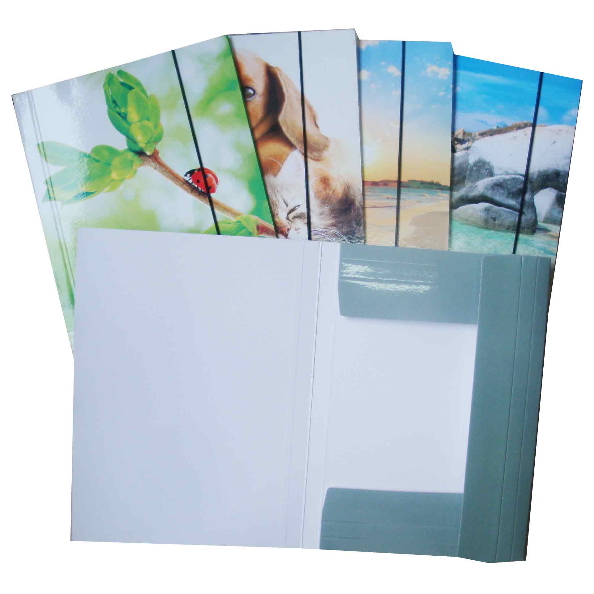 Designs Printing Paper File Folder